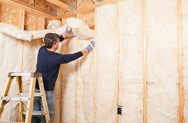 Best Wall Insulation Installation in Sand Point, AK